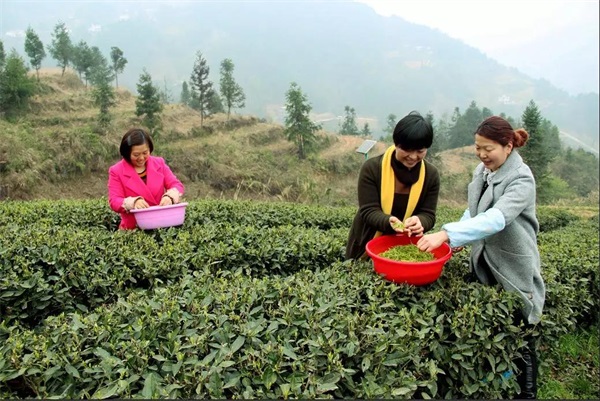 1598517167014.jpg 2.jpg