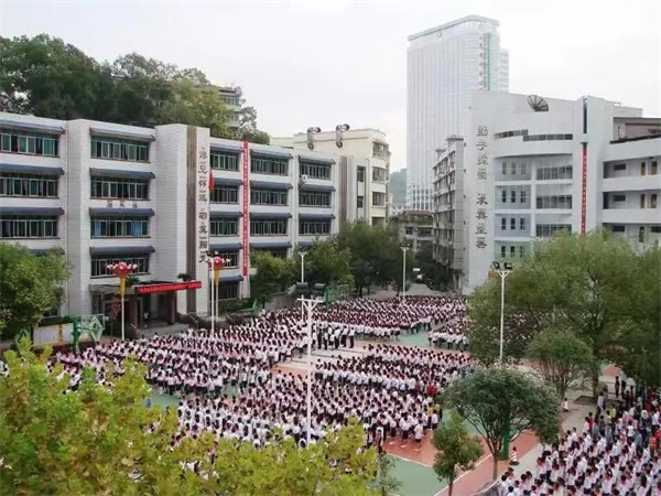 1598517195146.jpg 4.jpg